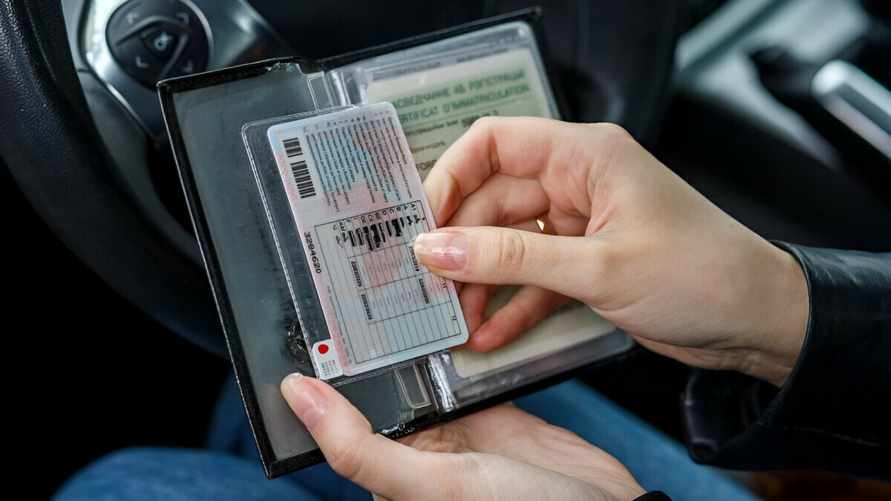 Фото носит иллюстративный характер.