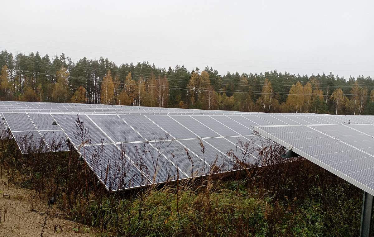 На Могилёвщине выставили на продажу солнечную электростанцию. Почём?