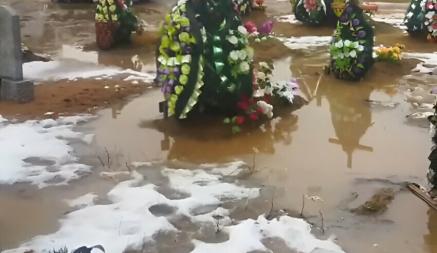 «Обидно в конце пути лежать в болоте» – Видео с кладбища в Барановичах набрало полмиллиона просмотров