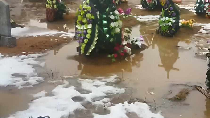 «Обидно в конце пути лежать в болоте» – Видео с кладбища в Барановичах набрало полмиллиона просмотров