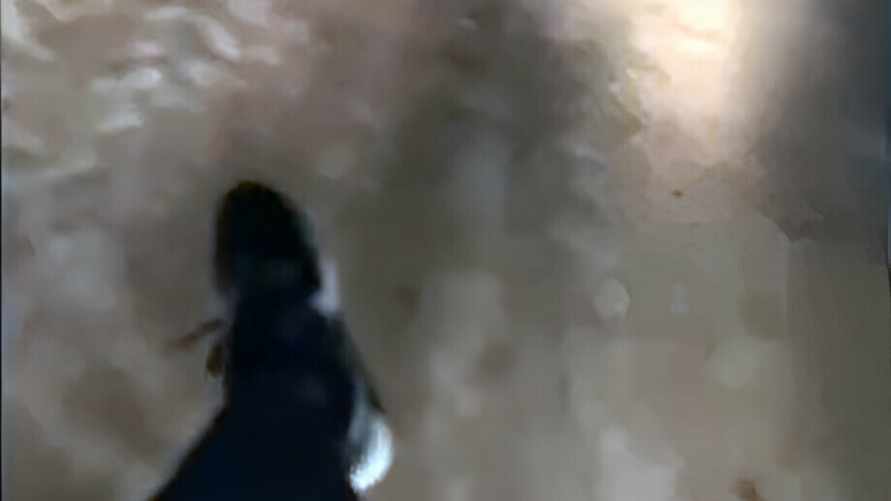 Подростки в Белыничах проехались на крыше «Жигулей». И сами себя сдали