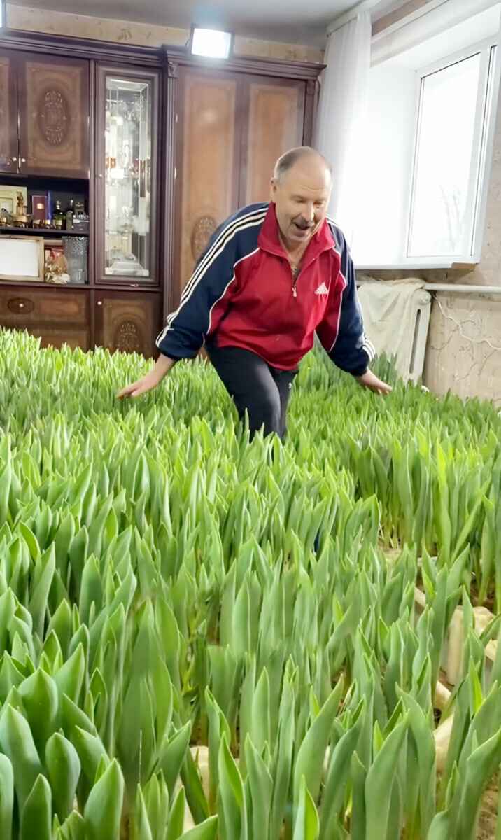 «Молодец, водку не пьет» – Белорусы оценили тюльпановую плантацию на фоне советской стенки