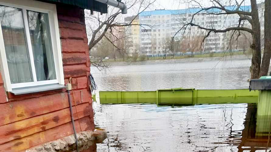 Фото носит иллюстративный характер.