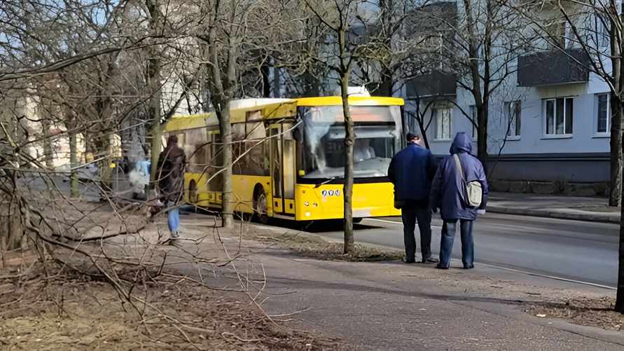 «Что-то точно нарушено» – Видео про минских контролеров накалило интернет