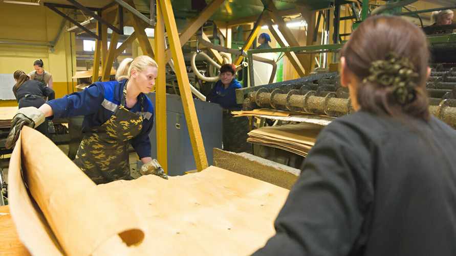 Фото, сделанное на предприятии «Борисовдрев», носит иллюстративный характер.