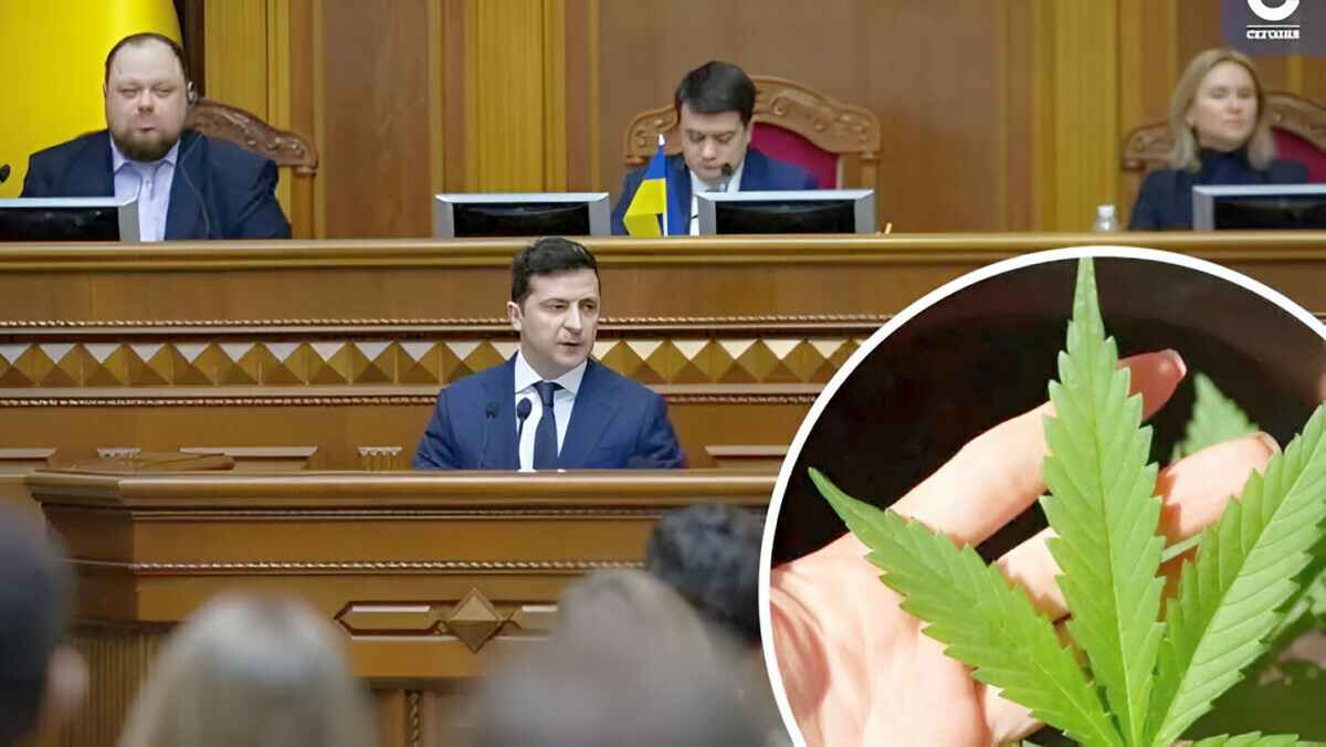 Зеленский легализовал каннабис
