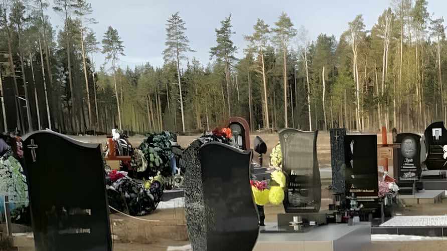 Мэр Барановичей объяснил ситуацию с подтопленным кладбищем «законами физики» и показал свежие фото «для особо недоверчивых»