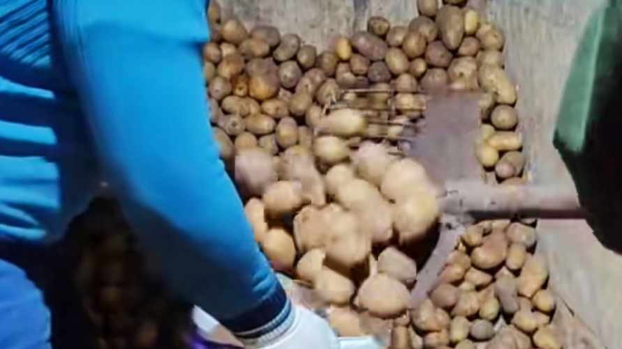 "Меньше, чем на Нобель, не соглашайся!" - Этот способ упаковки картошки собрал более миллиона просмотров