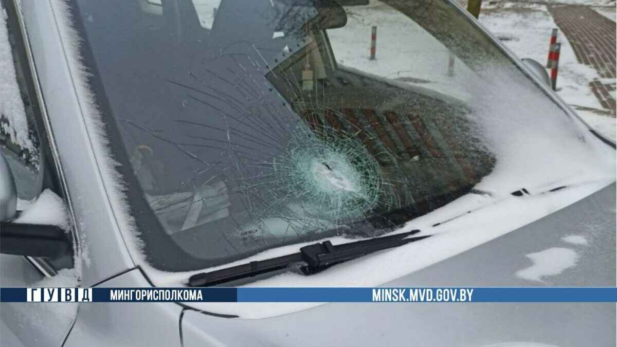 Минчанка не оценила подарок друга и попала в милицию