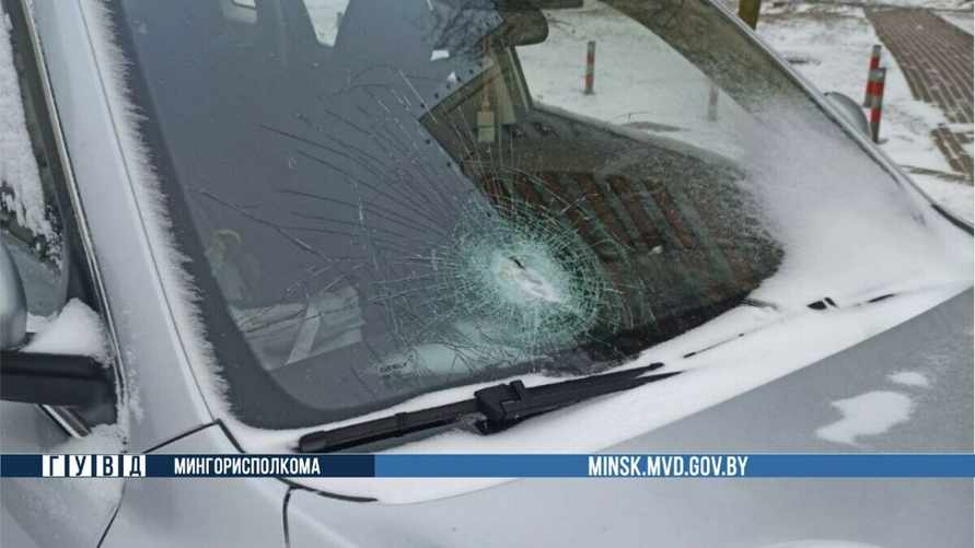 Минчанка не оценила подарок друга и попала в милицию