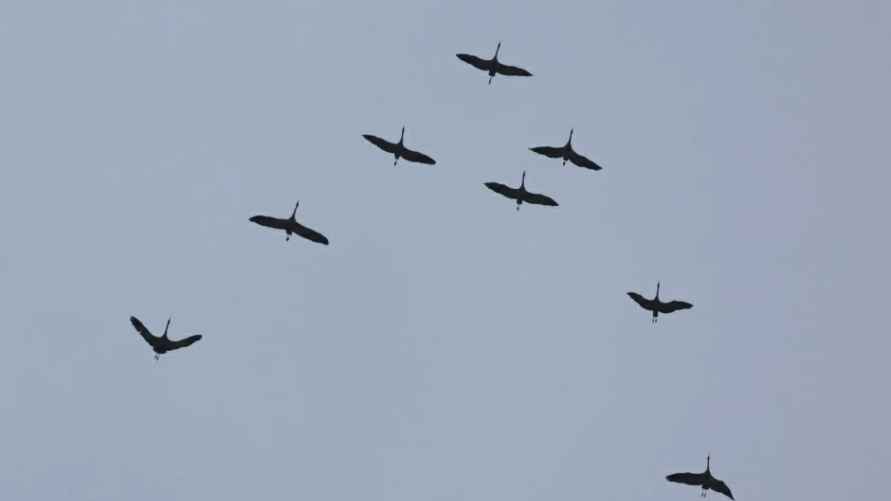 Фото: Инна Шкурко