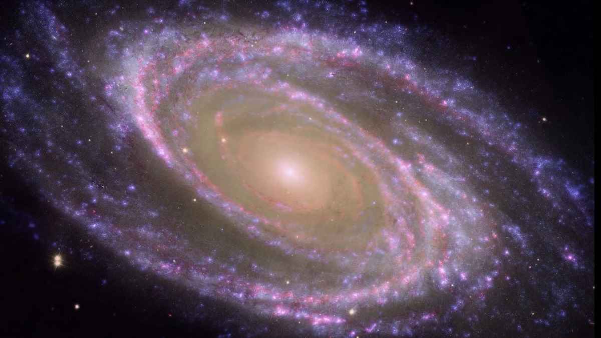 Смещение Венеры и Марса, спиральная галактика. В NASA показали, что искать на небе в феврале