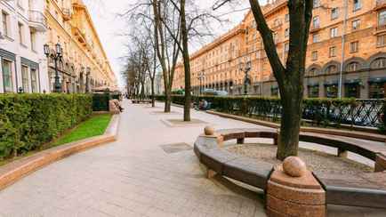 Белорусские ученые придумали, как защитить деревья от дорожной соли. И еще от стресса