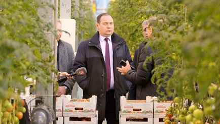 Головченко объяснил, как сделал белорусские огурцы дешевле импортных