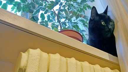 В «Минскэнерго» рассказали, отключат ли отопление на время потепления