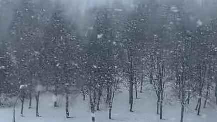 В Белгидромете попросили не расслабляться после пережитого снегопада. Что ждать со вторника?