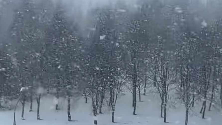 В Белгидромете попросили не расслабляться после пережитого снегопада. Что ждать со вторника?