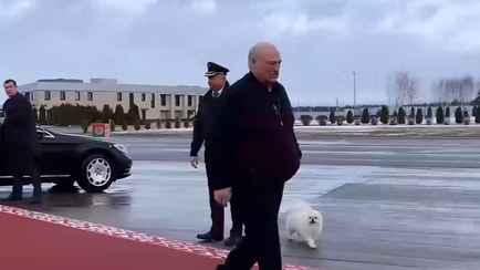Лукашенко взял с собой в Узбекистан собаку Умку