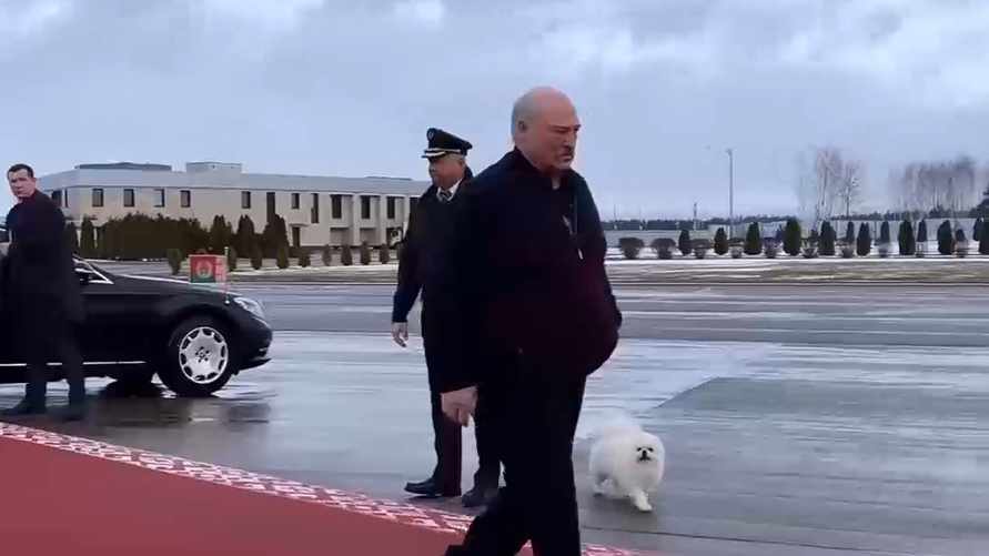 Лукашенко взял с собой в Узбекистан собаку Умку
