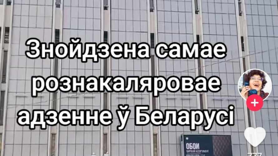 "Рождаемость точно не повысить" - Белоруска показала, что продают в одном из ТЦ Минска. Подписчицы вынесли "модный" приговор
