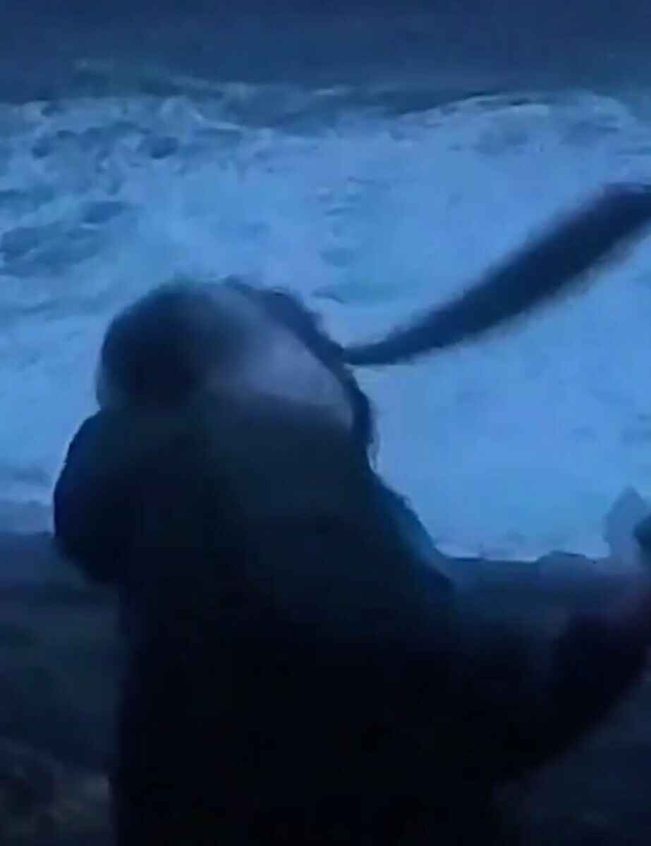 Норвежского синоптика во время репортажа сбила с ног рыба. Но и это еще не все