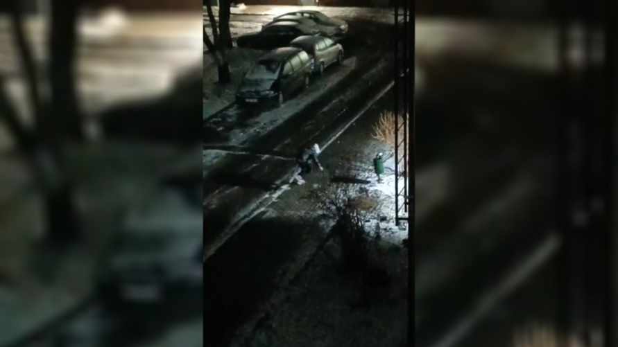 «По всей Беларуси такие танцы» - Жители Бобруйска показали видео «финтеса на льду»