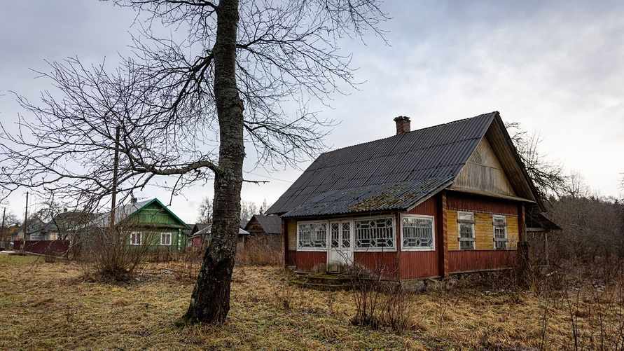 Фото иллюстрационное: onliner.by