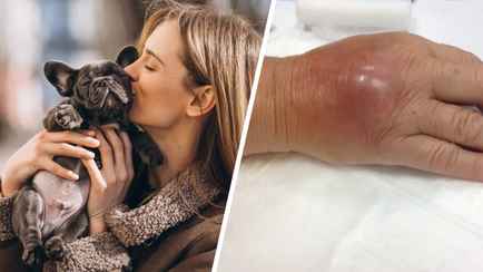 Этими болезнями можно заразиться от домашних собаки и кошки. Узнали, как обезопасить себя и близких