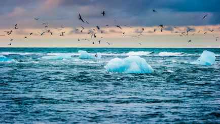 «Температура может упасть на 30 градусов» — Ученые предупредили о мировом климатическом коллапсе