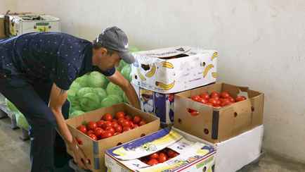 «Частнику почему-то выгодно» – Лукашенко назвал «черепашьими» темпы роста в сфере заготовок