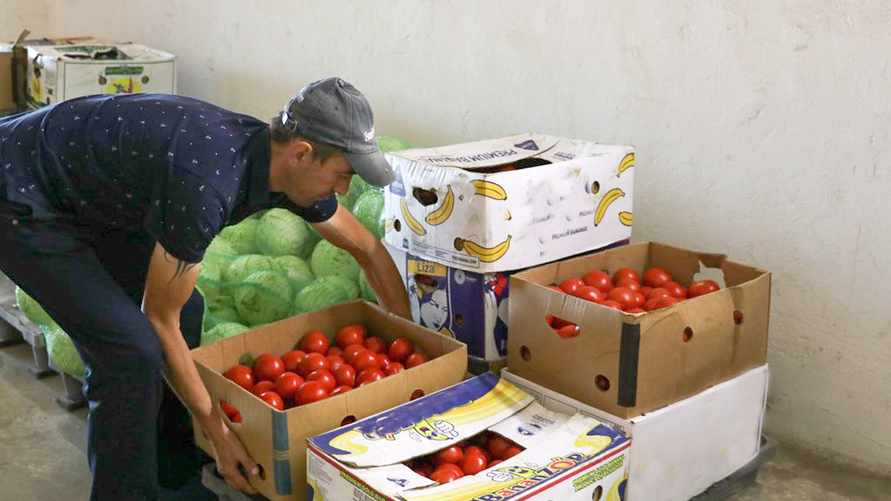 Фото носит иллюстративный характер.