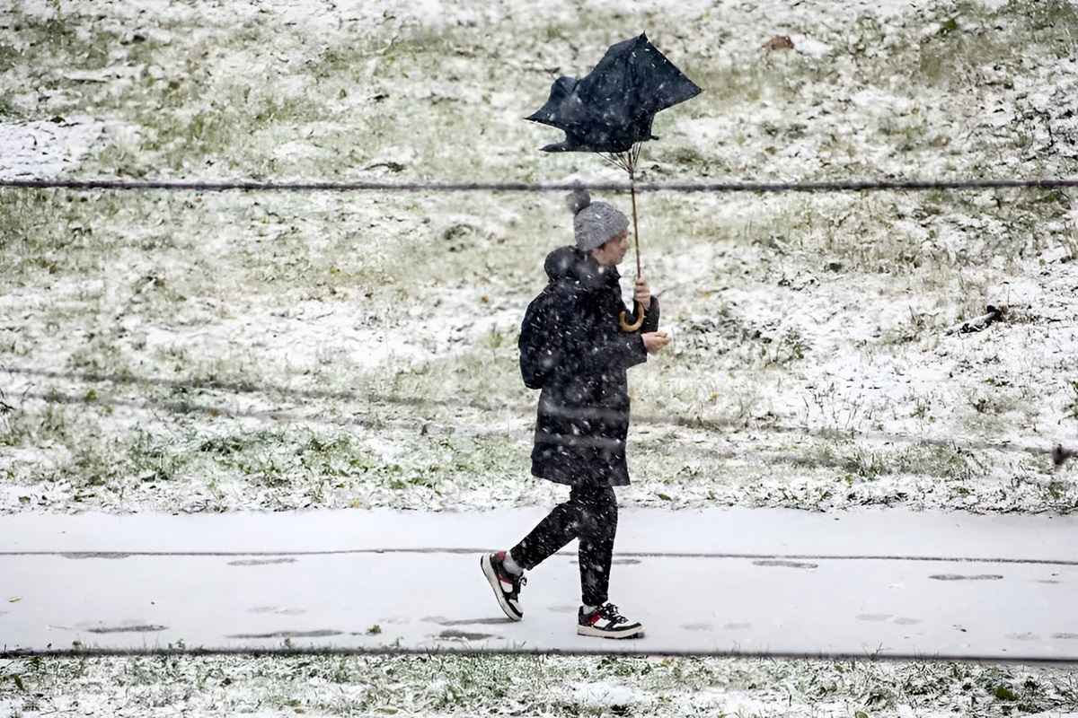 Фото иллюстарционное