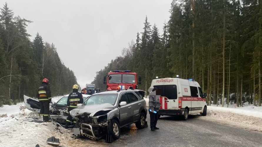 Фото: ГАИ Витебской области