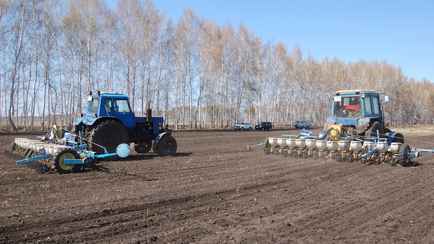В Минсельхозе рассказали, почему посевную в Беларуси начали зимой