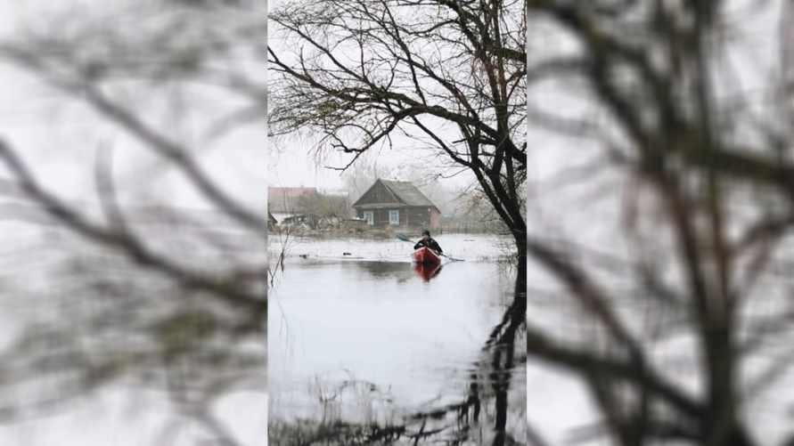 "Белорусская Венеция" - Белорус показал, затопленную деревню под Лунинцом