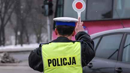 В ЕС предложили проверять умственные способности водителей. Прямо на дороге?