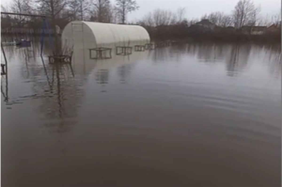 Фото: Screenshot/Татьяна 46/TikTok