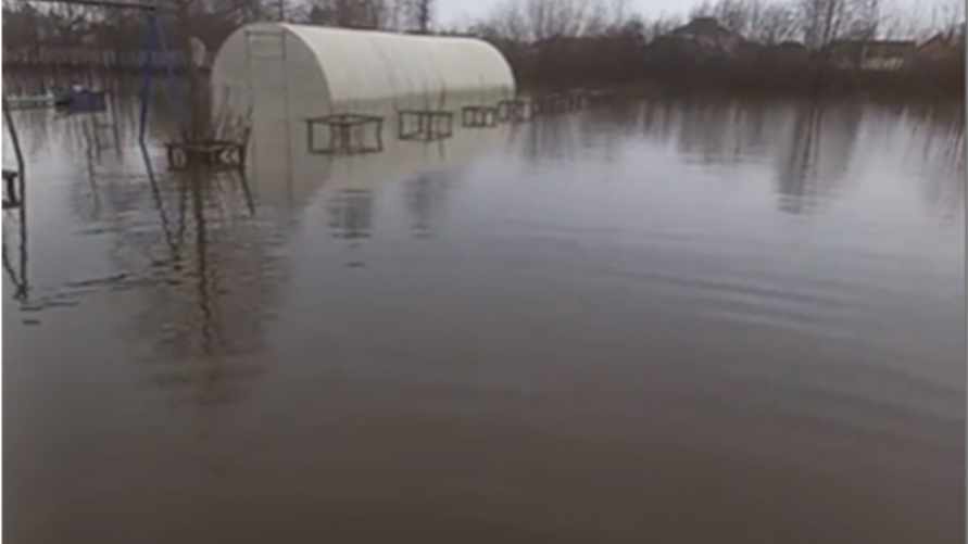 Фото: Screenshot/Татьяна 46/TikTok