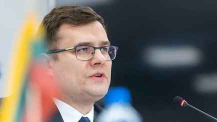 «Они делают это чаще раза в месяц» – В Литве предложили лишать некоторых белорусов вида на жительство