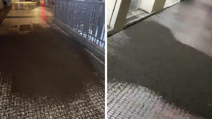 "Комариный торнадо" — Рой кровожадных насекомых атаковал столицу Аргентины