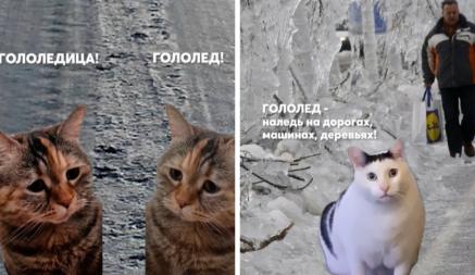«Лучше, чем СМС» — МЧС Беларуси предупредило о гололедице с помощью мемных котиков и завоевало тысячи людей в TikTok