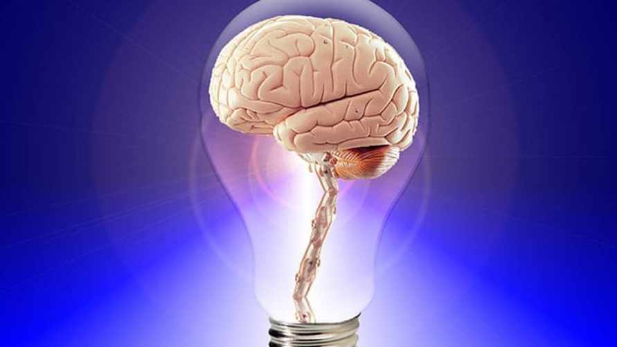 Фото: pixabay.com