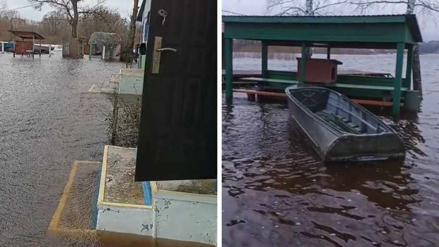 "Карасей можно с крыльца ловить" — Белорус удивил пользователей "полесским морем"