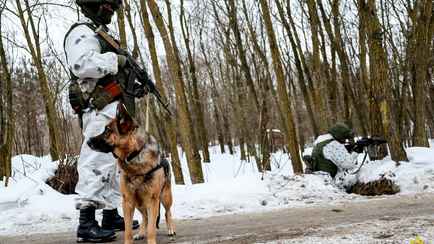 «Можно ожидать радикальных действий» — Белорусские пограничники решили ввести непрерывное визуальное наблюдение за границей Украины