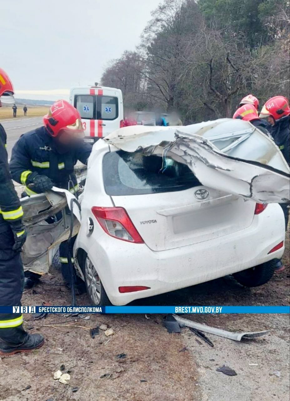 На Брестчине Toyota влетела на встречке в лесовоз – водитель погиб