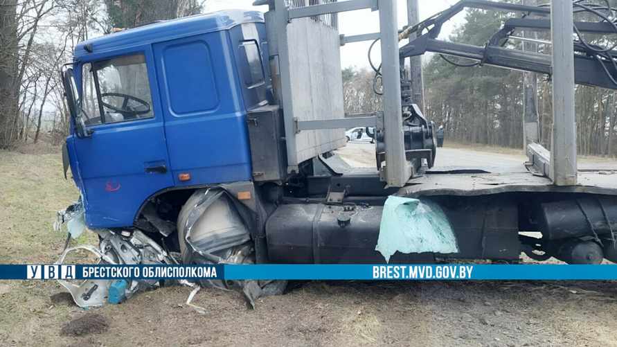 На Брестчине Toyota влетела на встречке в лесовоз – водитель погиб