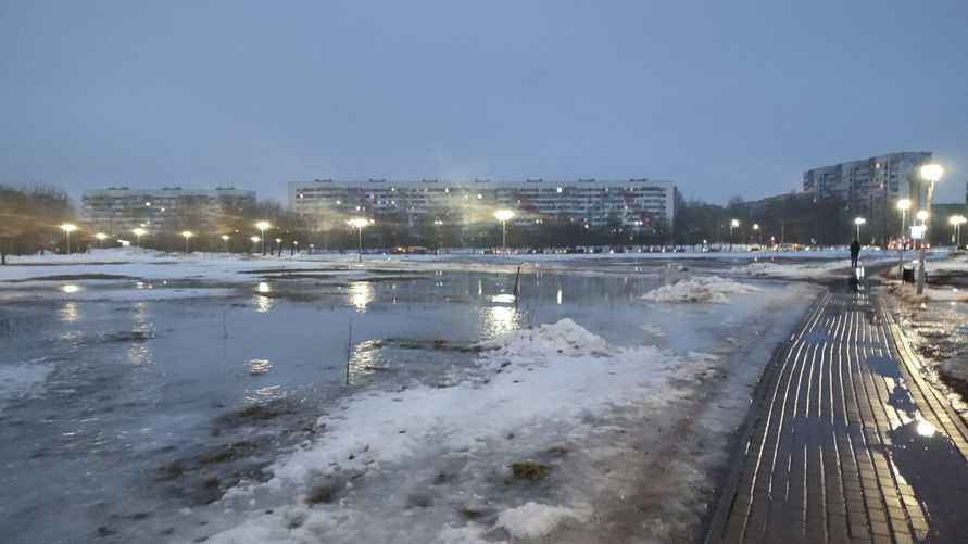 Фото: тг-канал "Надвор'е"