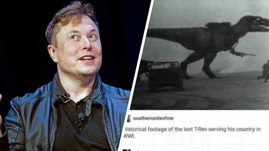 "Это правда, мой дедушка был там" - Илон Маск опубликовал фото тираннозавра на Первой мировой войне. Подписчики "подтвердили"