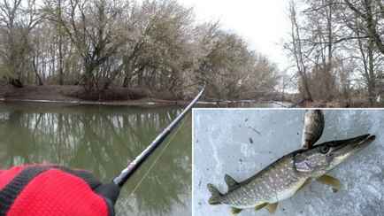 От 1200 руб. штрафа до 3 лет. В некоторых областях Беларуси запретили лов щуки с 1 марта