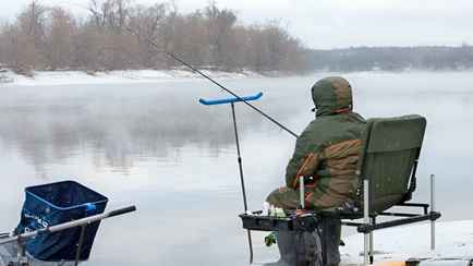 В Беларуси заявили о массовой гибели популярной рыбы. Какое решение предложили?
